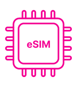 One eSim